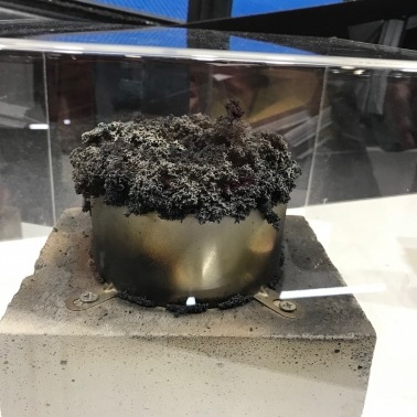 Fire Collar Example - After Fire